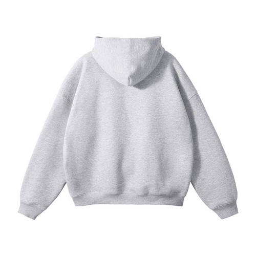 Collection 1 Ohio Oversize Fleeced Hoodie - Flower Gray behind