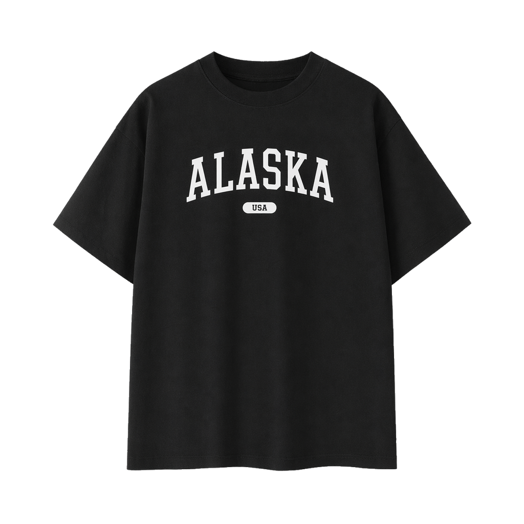 Collection 4 Alaska Essential Cotton T-Shirt - Black front
