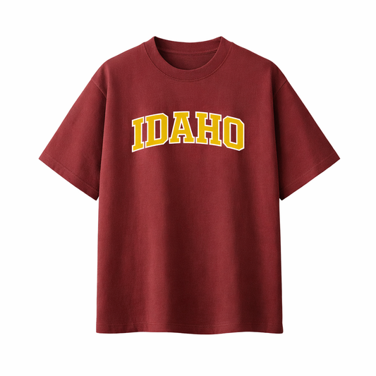 Collection 1 Idaho Essential Cotton T-Shirt - Wine Gray front