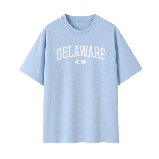 Collection 4 Delaware Essential Cotton T-Shirt - Light Blue front