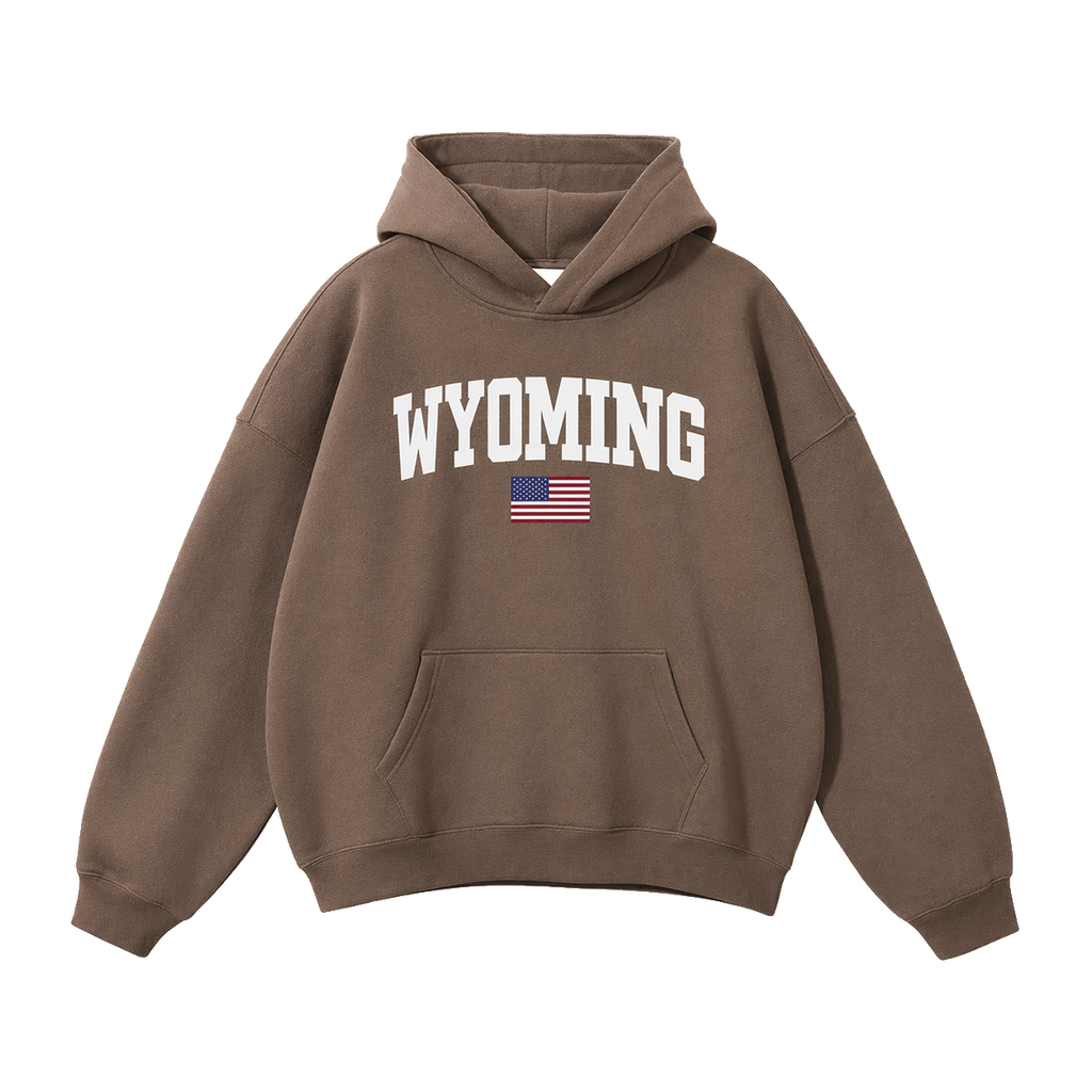 Collection 2 Wyoming Oversize Fleeced Hoodie - Brown front