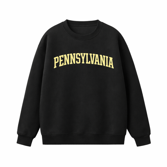 Collection 1 Pennsylvania Essential Heavyweight Crewneck Sweatshirt - Black front