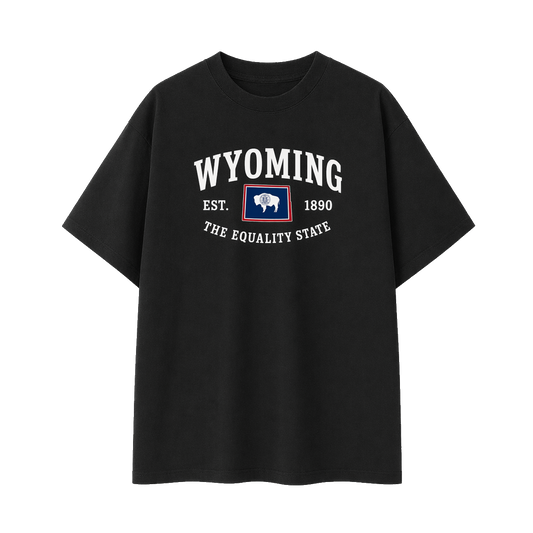 Collection 8 Wyoming Essential Cotton T-Shirt - Black front