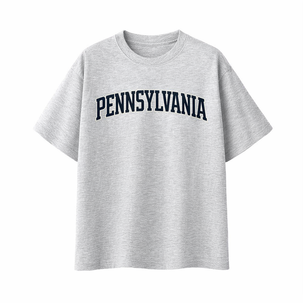 Collection 1 Pennsylvania Essential Cotton T-Shirt - White Gray front