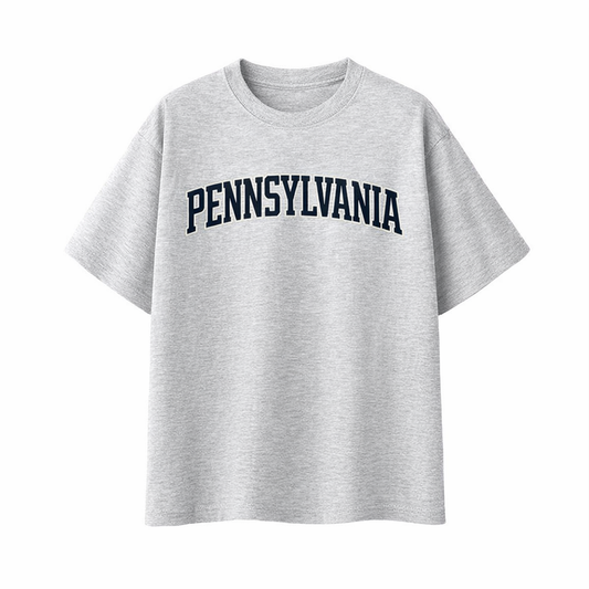 Collection 1 Pennsylvania Essential Cotton T-Shirt - White Gray front