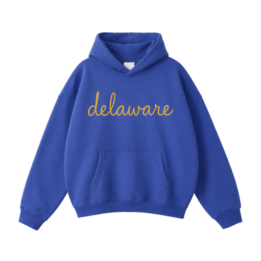 Collection 3 Delaware Oversize Fleeced Hoodie - Klein Blue front