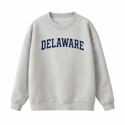 Collection 1 Delaware Essential Heavyweight Crewneck Sweatshirt - Gray front