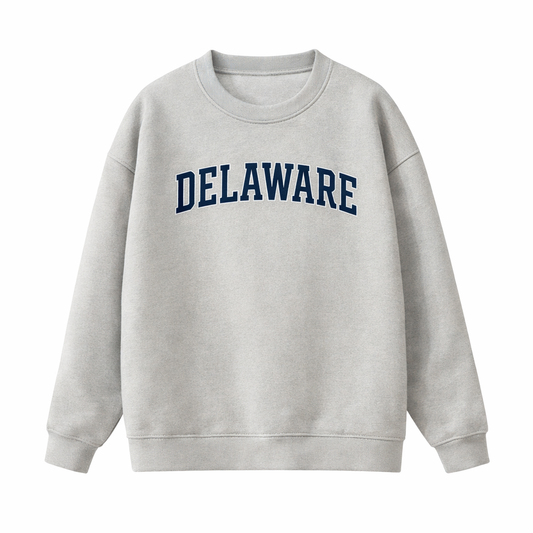 Collection 1 Delaware Essential Heavyweight Crewneck Sweatshirt - Gray front