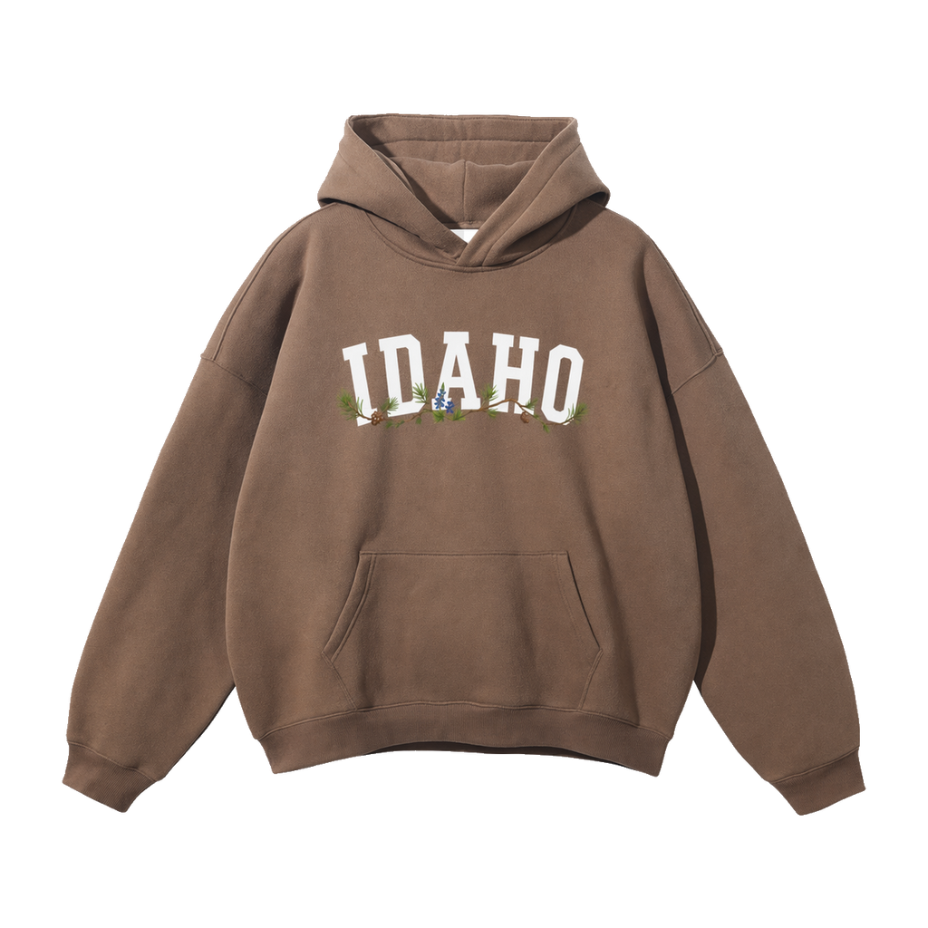 Collection 10 Idaho Oversize Fleeced Hoodie - Brown front