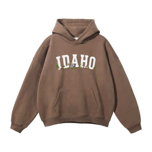 Collection 10 Idaho Oversize Fleeced Hoodie - Brown front