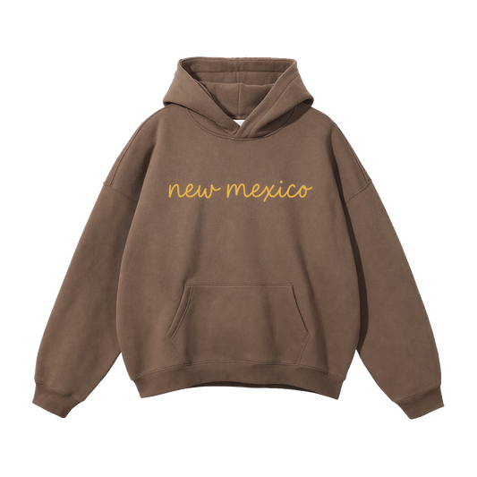 Collection 3 New Mexico Oversize Fleeced Hoodie - Brown front