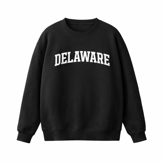 Collection 1 Delaware Essential Heavyweight Crewneck Sweatshirt - Black front
