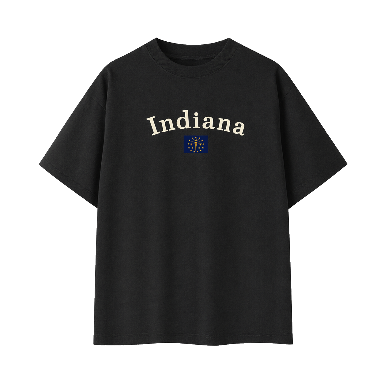 Collection 6 Indiana Essential Cotton T-Shirt - Black front