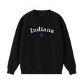 Collection 6 Indiana Essential Heavyweight Crewneck Sweatshirt - Black front