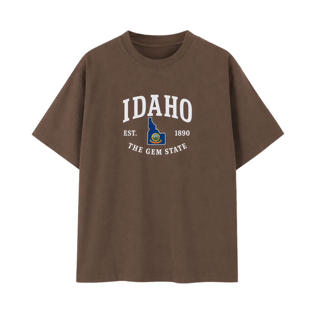 Collection 8 Idaho Essential Cotton T-Shirt - Coffee front