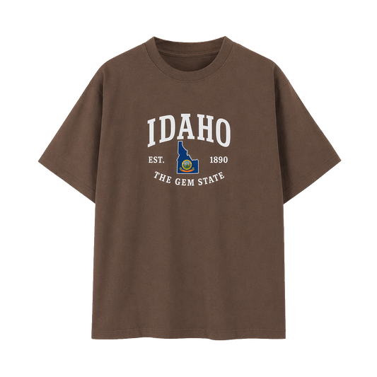 Collection 8 Idaho Essential Cotton T-Shirt - Coffee front