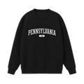 Collection 4 Pennsylvania Essential Heavyweight Crewneck Sweatshirt - Black front