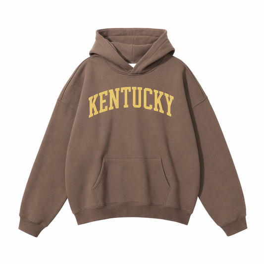 Collection 1 Kentucky Oversize Fleeced Hoodie - Brown front
