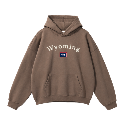 Collection 6 Wyoming Oversize Fleeced Hoodie - Brown front