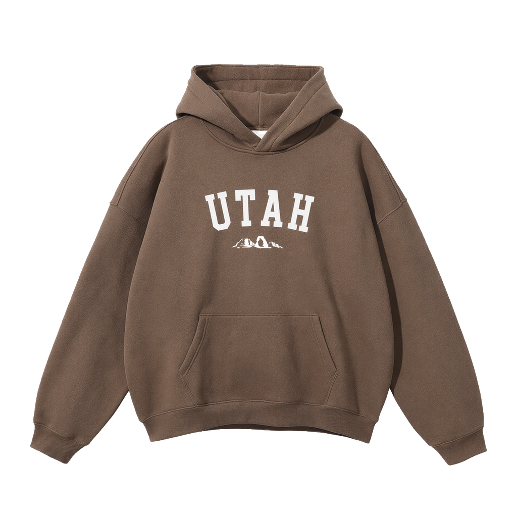 Collection 9 Utah Oversize Fleeced Hoodie - Brown front