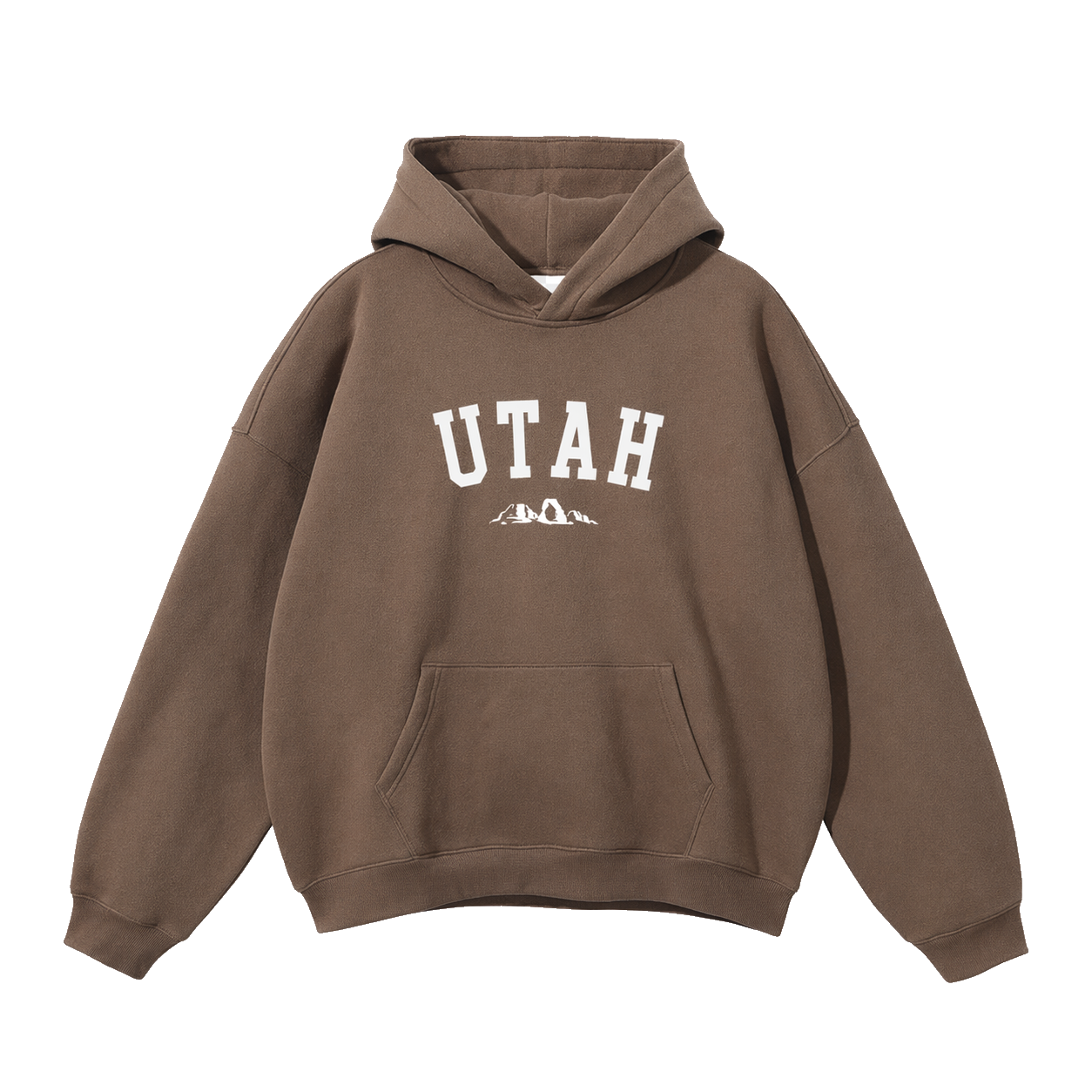 Collection 9 Utah Oversize Fleeced Hoodie - Brown front