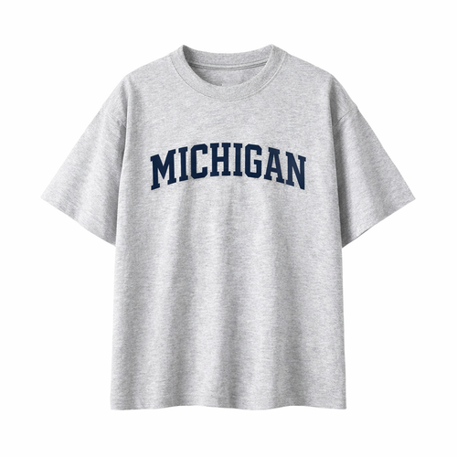 Collection 1 Michigan Essential Cotton T-Shirt - White Gray front