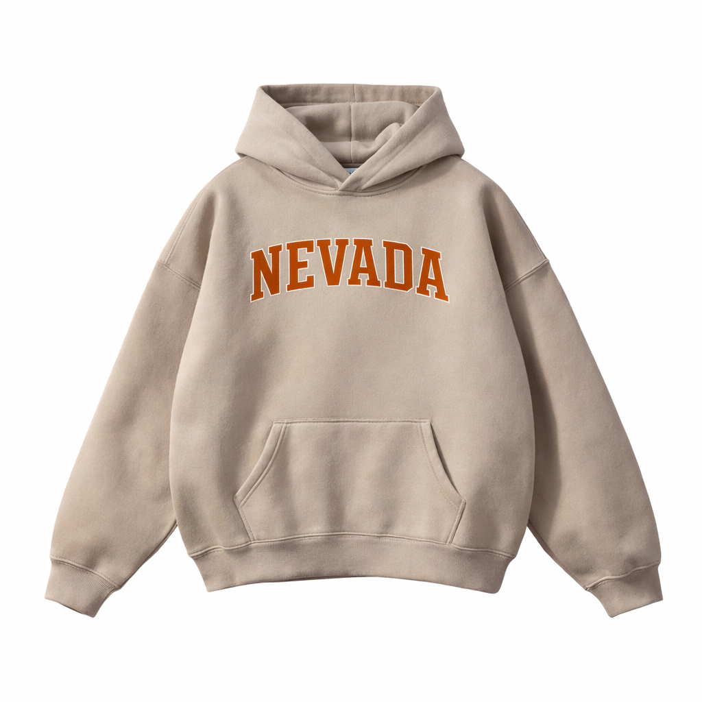 Collection 1 Nevada Oversize Fleeced Hoodie - Gray Apricot front