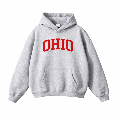 Collection 1 Ohio Oversize Fleeced Hoodie - Flower Gray front