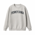 Collection 1 Pennsylvania Essential Heavyweight Crewneck Sweatshirt - Gray front