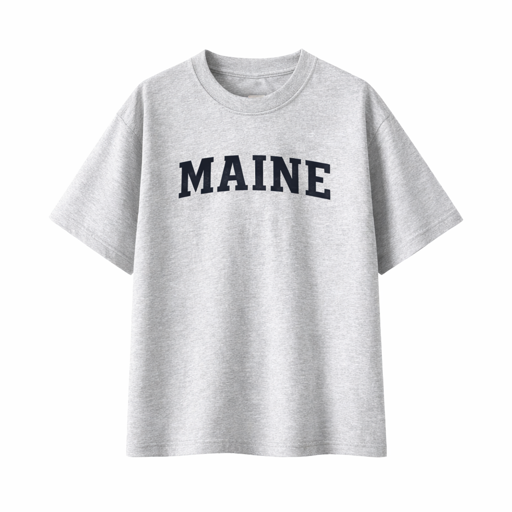 Collection 1 Maine Essential Cotton T-Shirt - White Gray front
