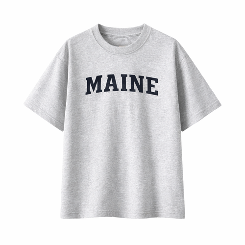 Collection 1 Maine Essential Cotton T-Shirt - White Gray front