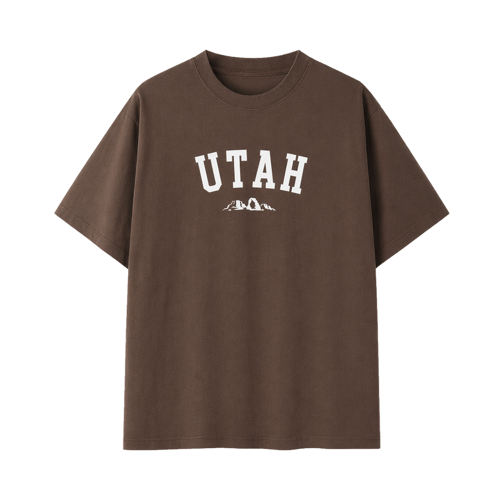 Collection 9 Utah Essential Cotton T-Shirt - Coffee front
