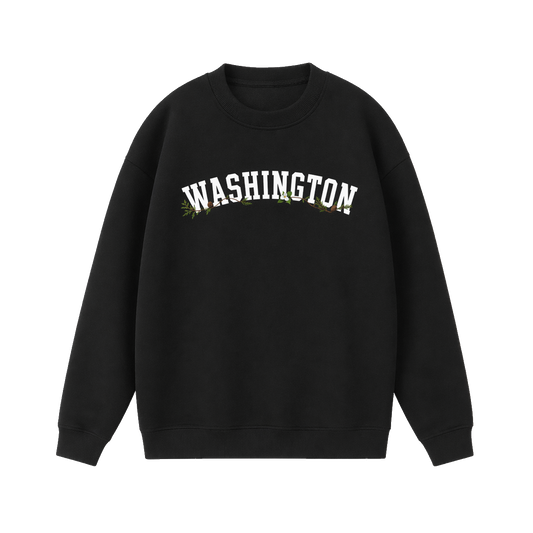 Collection 10 Washington Essential Heavyweight Crewneck Sweatshirt - Black front