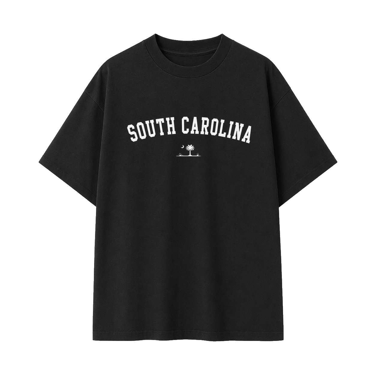 Collection 9 South Carolina Essential Cotton T-Shirt - Black front