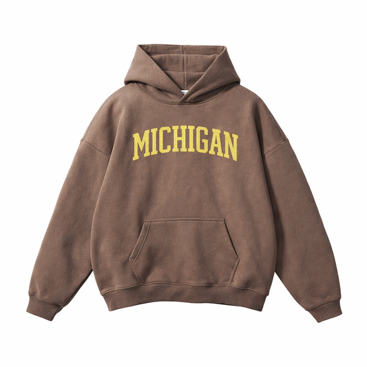 Collection 1 Michigan Oversize Fleeced Hoodie - Brown front