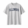Collection 1 Illinois Essential Cotton T-Shirt - White Gray front