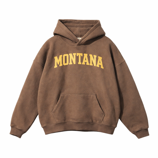 Collection 1 Montana Oversize Fleeced Hoodie - Brown front