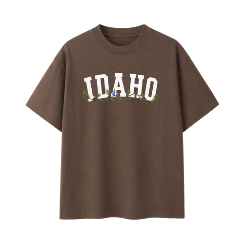 Collection 10 Idaho Essential Cotton T-Shirt - Coffee front