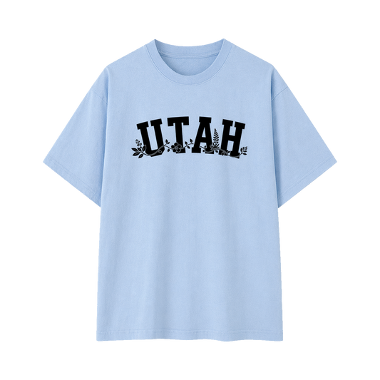 Collection 10 Utah Essential Cotton T-Shirt - Light Blue front