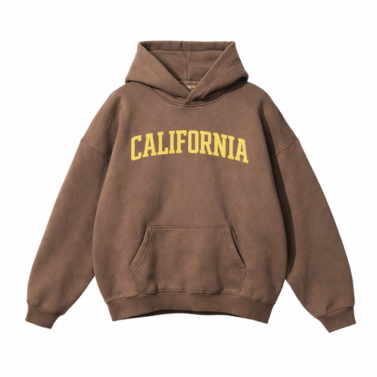 Collection 1 California Oversize Fleeced Hoodie - Brown front
