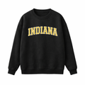 Collection 1 Indiana Essential Heavyweight Crewneck Sweatshirt - Black front