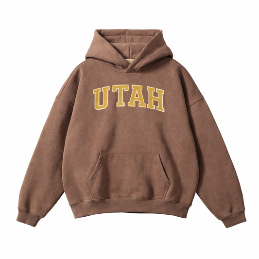 Collection 1 Utah Oversize Fleeced Hoodie - Brown front