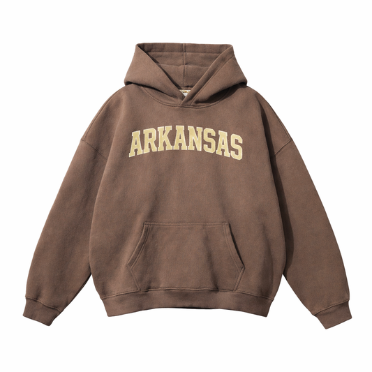 Collection 1 Arkansas Oversize Fleeced Hoodie - Brown front