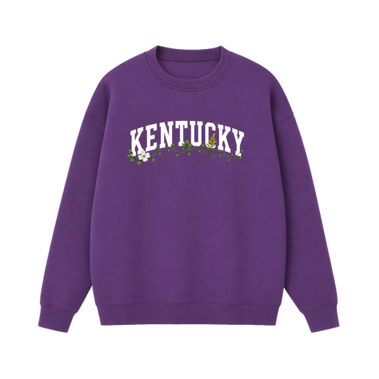 Collection 10 Kentucky Essential Heavyweight Crewneck Sweatshirt - Purple front