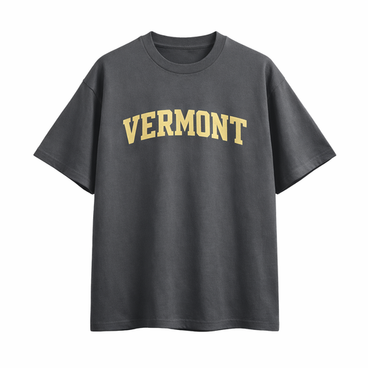 Collection 1 Vermont Essential Cotton T-Shirt - Dark Gray front