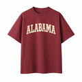 Collection 1 Alabama Essential Cotton T-Shirt - Wine Gray front