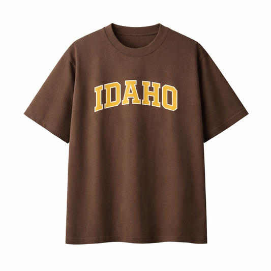 Collection 1 Idaho Essential Cotton T-Shirt - Coffee front