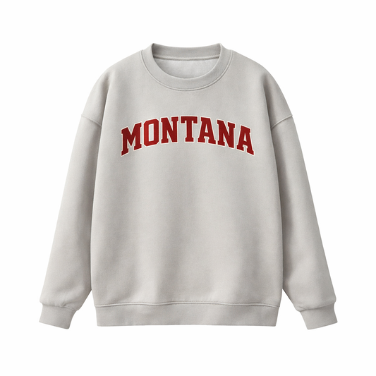 Collection 1 Montana Essential Heavyweight Crewneck Sweatshirt - Gray front