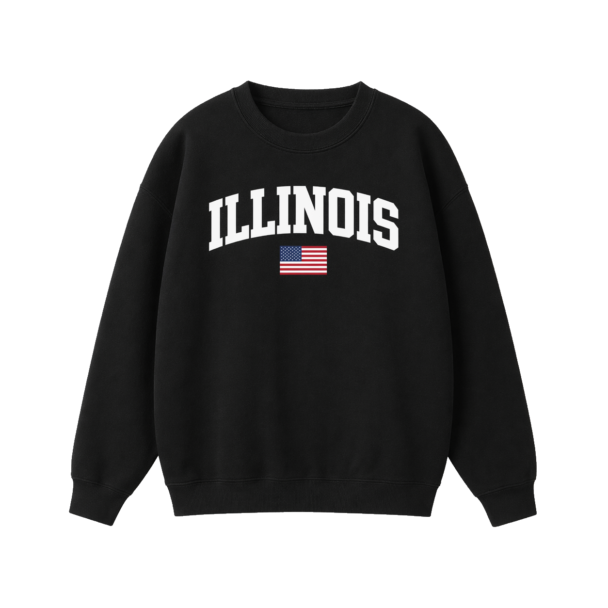 Collection 2 Illinois Essential Heavyweight Crewneck Sweatshirt - Black front