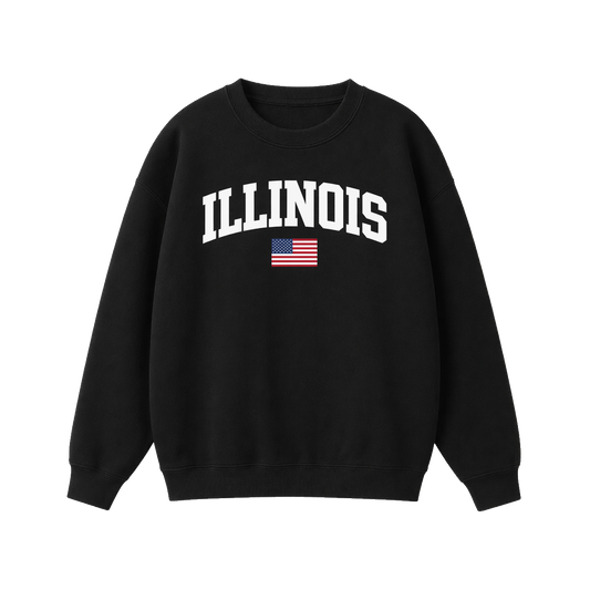 Collection 2 Illinois Essential Heavyweight Crewneck Sweatshirt - Black front